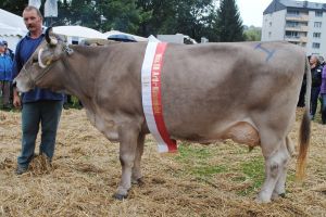miss ob kssnacht jubel justa alois marty goldau